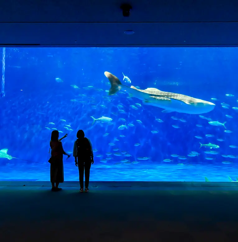 水族館